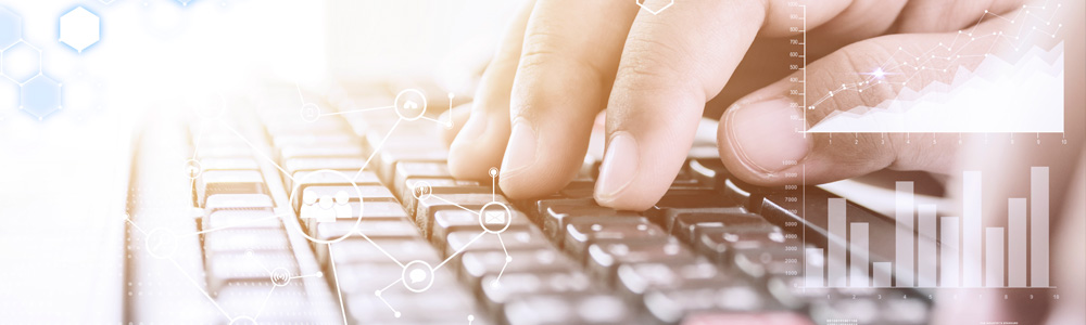 Développement des Systèmes d’Information (DSI)